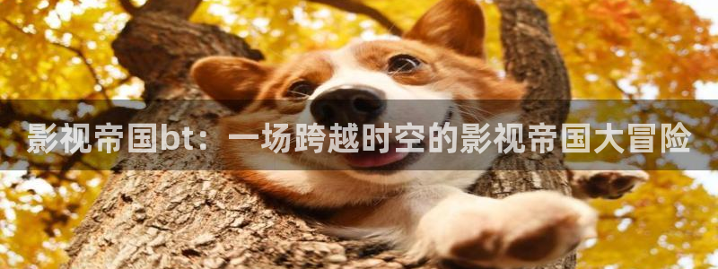 老濕電影免費：影視帝國bt：一場跨越時空的影視帝國大冒險